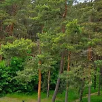 Felikso Guest house Palanga