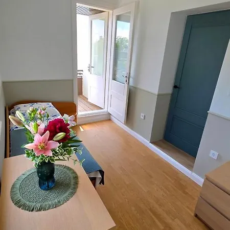 Felikso Guest house Palanga