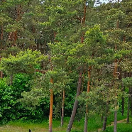 Felikso Konukevi Palanga
