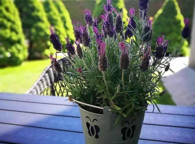 Felikso Gæstehus 3*