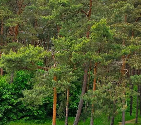 Felikso Gæstehus Palanga