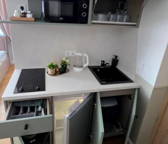 Felikso Gæstehus Palanga